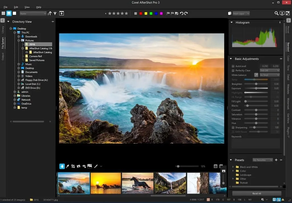 Corel AfterShot Pro 3 | RAW Photo Editing Software [PC Download]